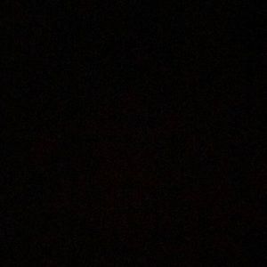 Meet your Posher, Bill